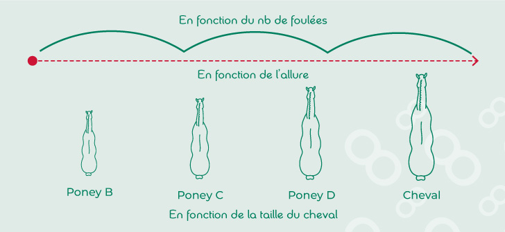 Paramètres pour calculer les distances entre les barres au sol