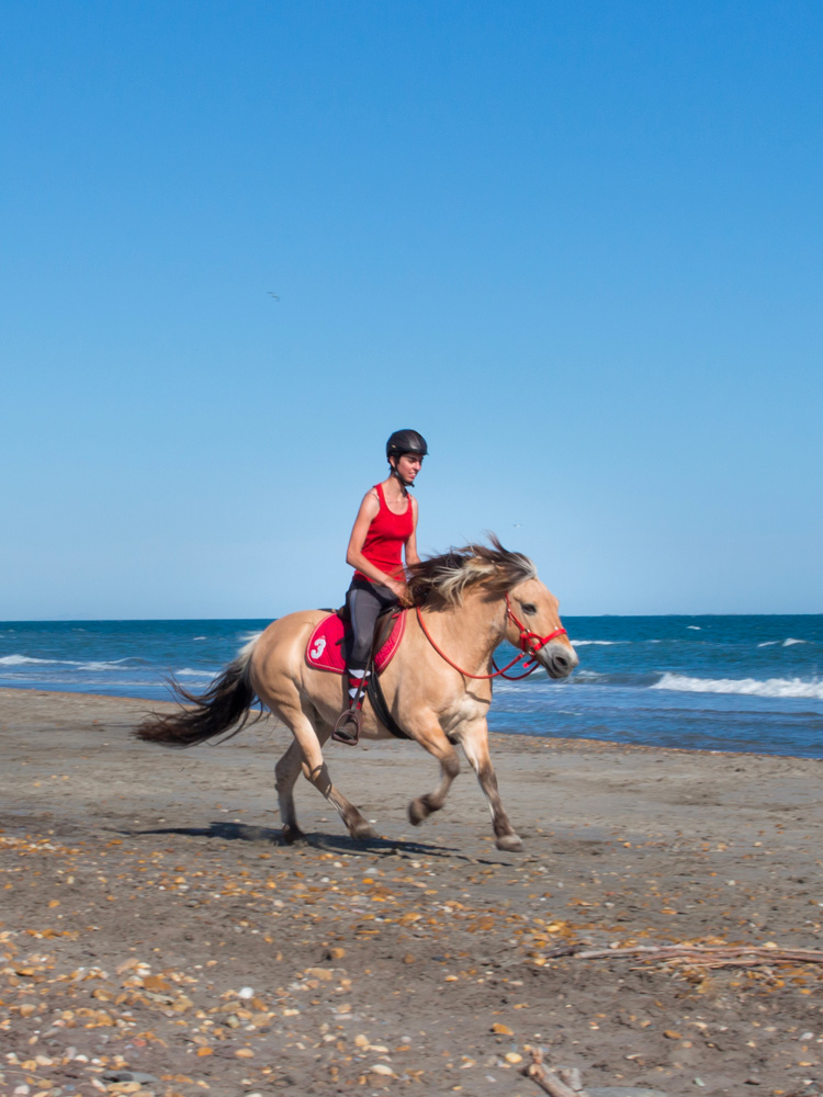 Lancement d'Appaloo Equestrian au galop