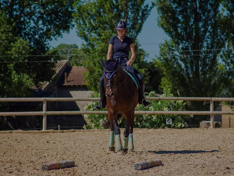 Exercices de dressage équitation