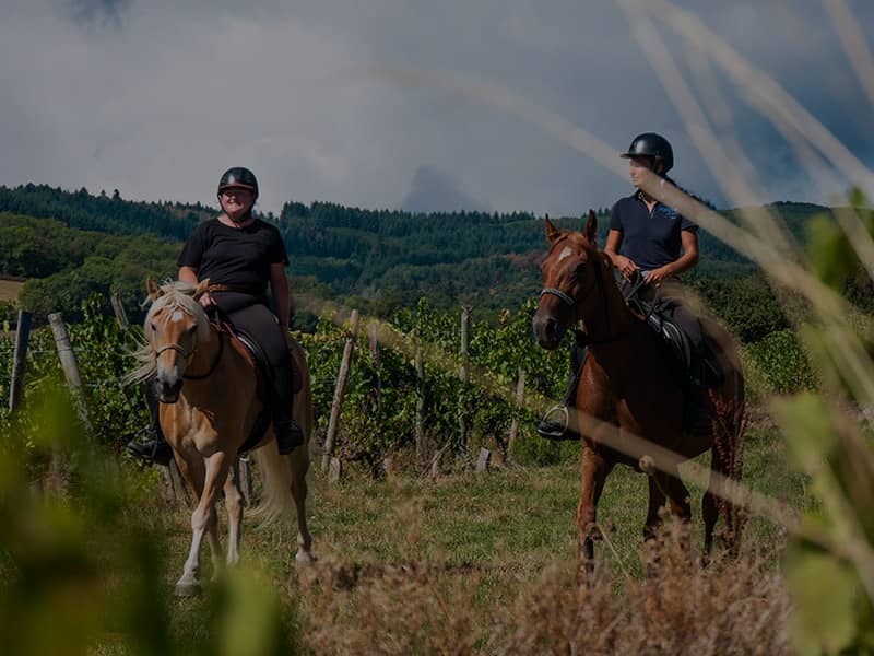 Exercices en extérieur équitation