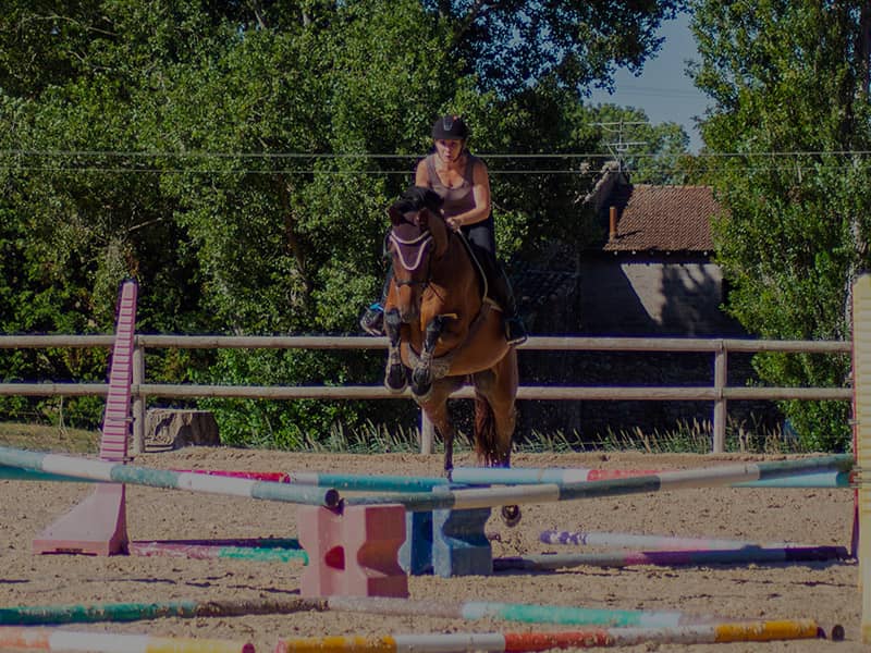 Exercices de saut d'obstacle équitation