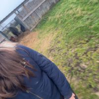 Elea&aventure