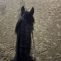 Christine<3Filou