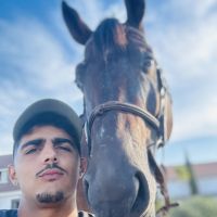 djawed31