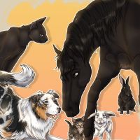 Un combat sans artifice