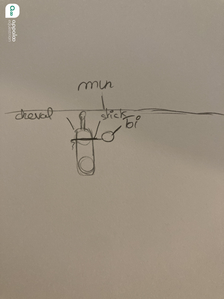 1738307323375498.jpg