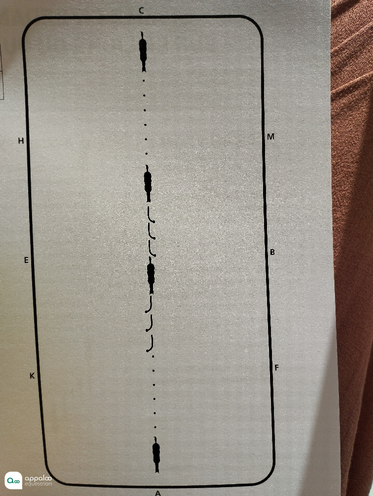 1741166147578485.jpg