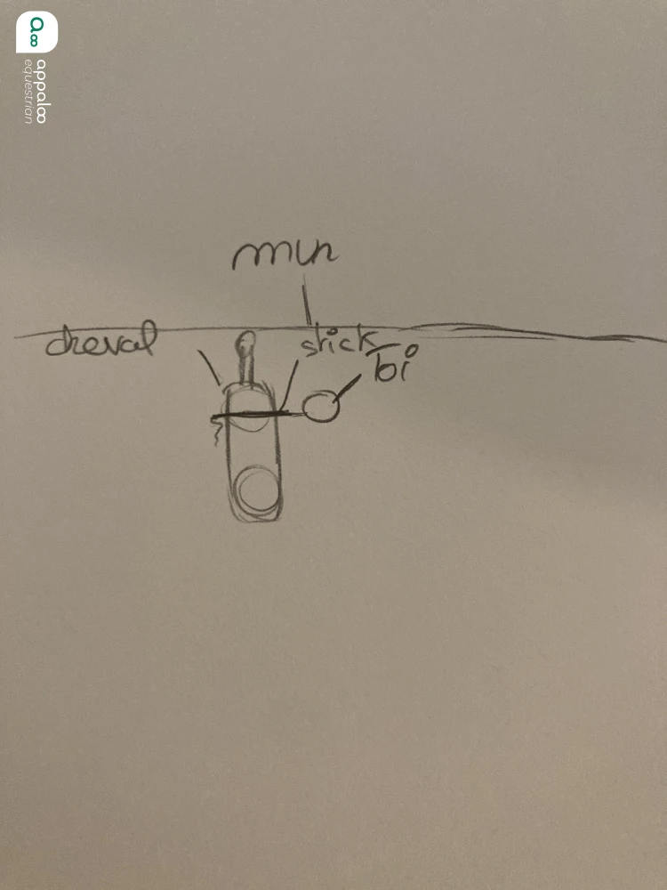 1738307323375498.jpg