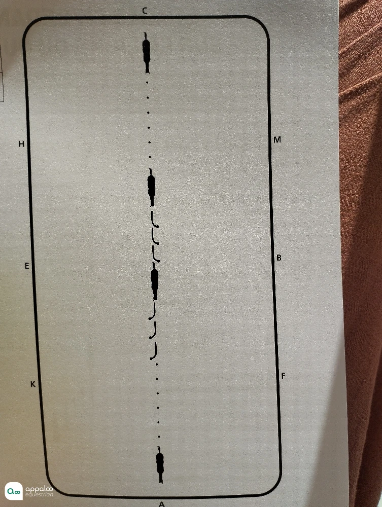 1741166147578485.jpg