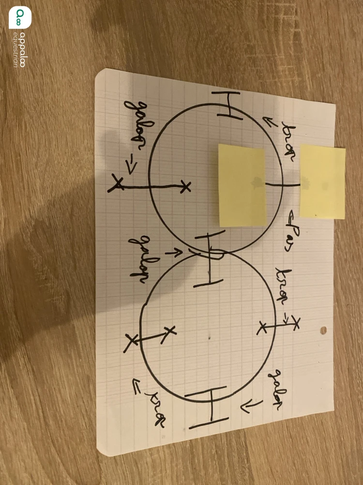 1786449215376933.jpg