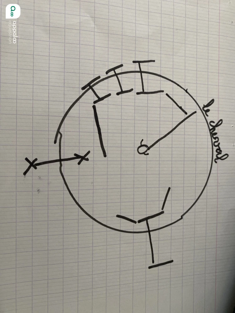 1786455342228798.jpg