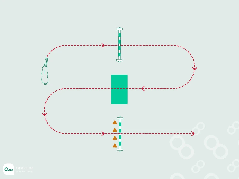 35-Travail-sur-l'obstacles-et-la-désensibilisation.jpg