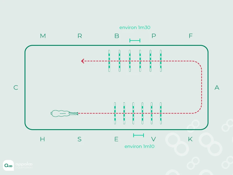 45.Double-ligne.jpg