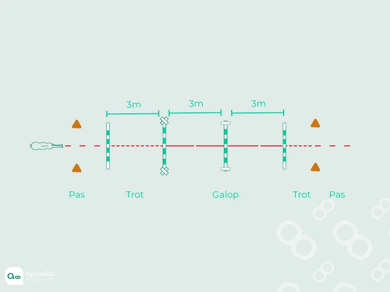 60-transition-à-l'obstacle.jpg