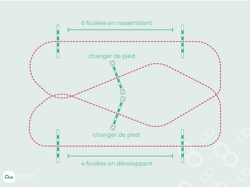 Amplitude-galop-challenge.jpg