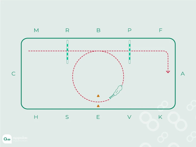 barres-au-sol-et-cercle.jpg