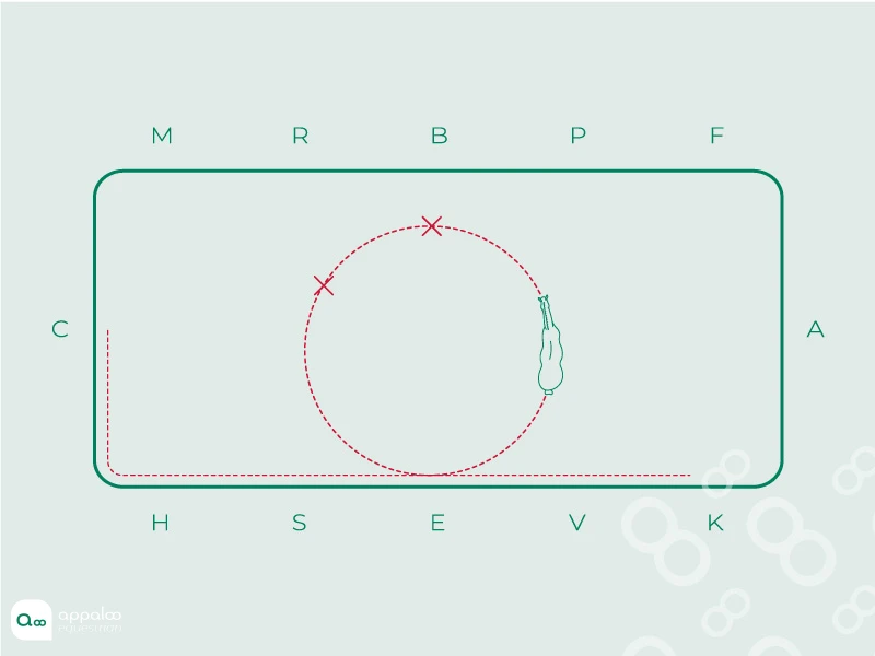 cercle-dincurvation-et-transition.jpg