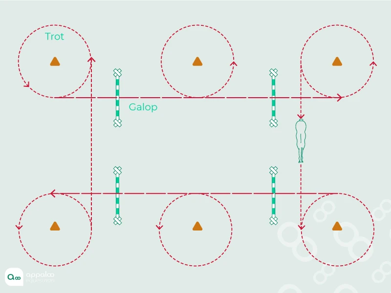 cercles-avant-et-apres-les-obstacles.jpg