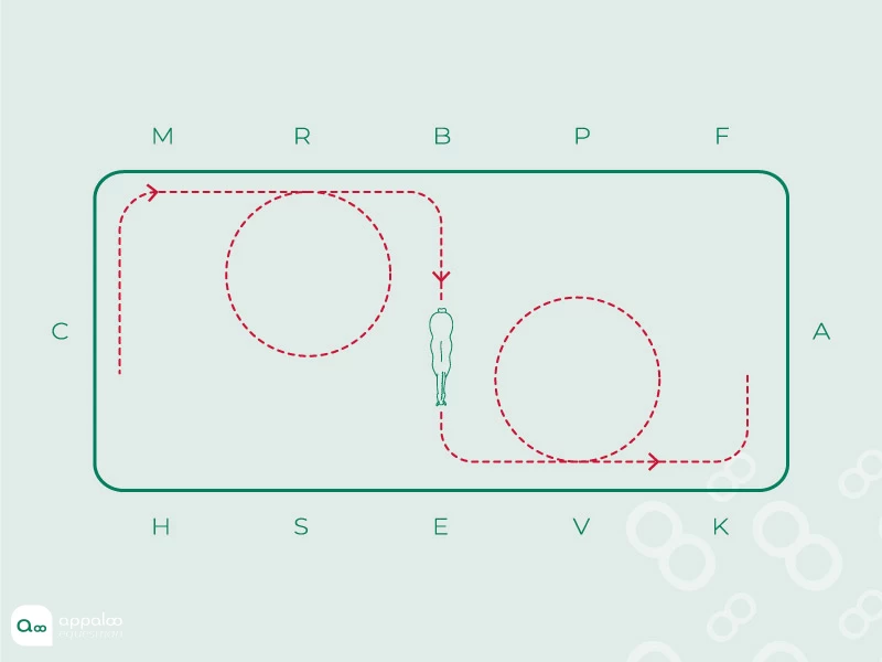 Cercles-et-doubler.jpg