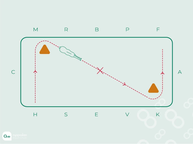diagonale-arrete.jpg