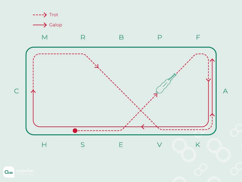 Diagonales-et-départs-au-galop.jpg
