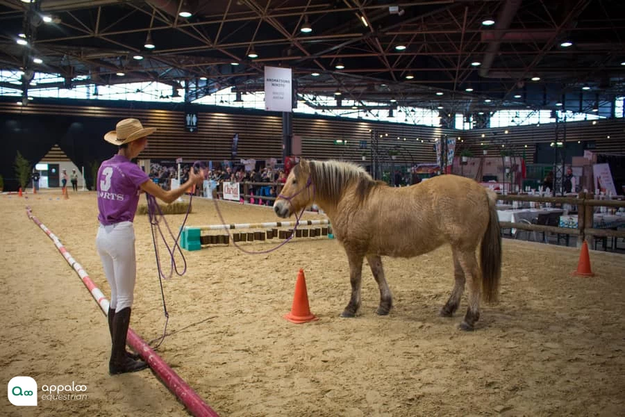 le-double-obstacle-equifeel.jpg