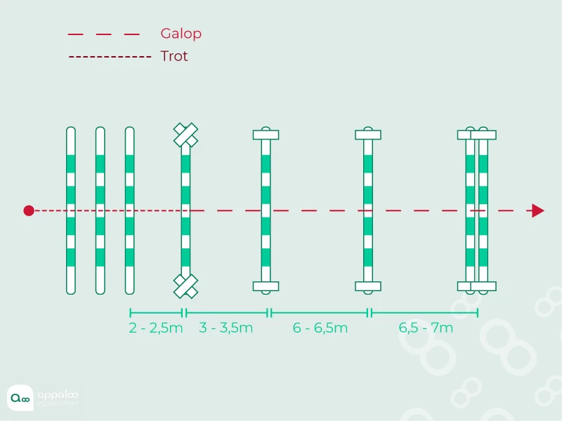ligne-gymnastique-1.png