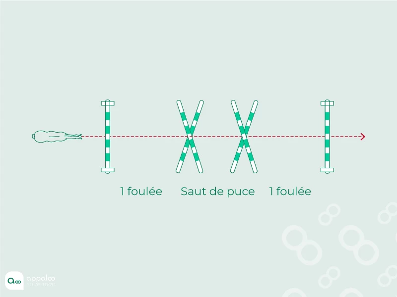 ligne-mecanisation-4.jpg