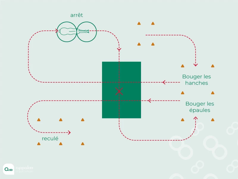 parcours-de-tap.jpg