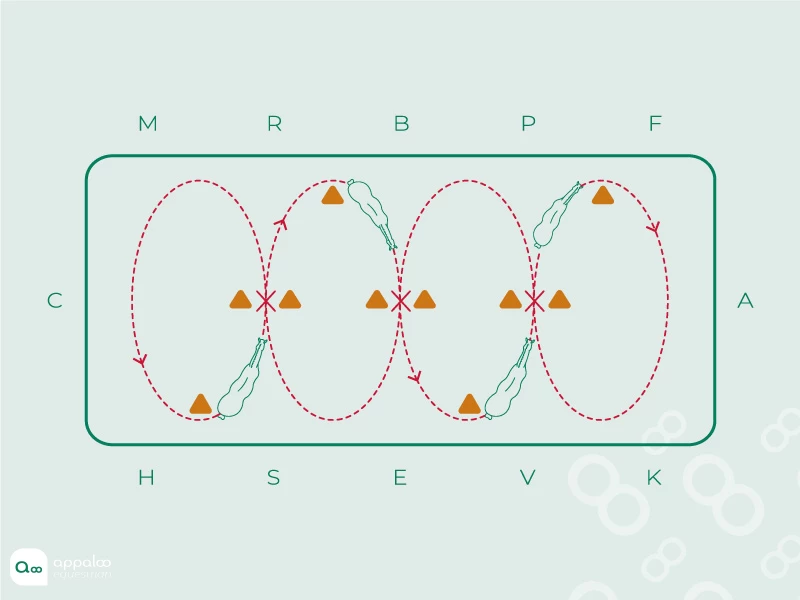 serpentine-4-boucles.jpg