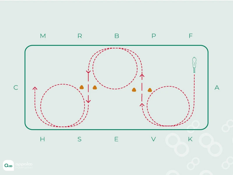 Serpentine-controlée.jpg