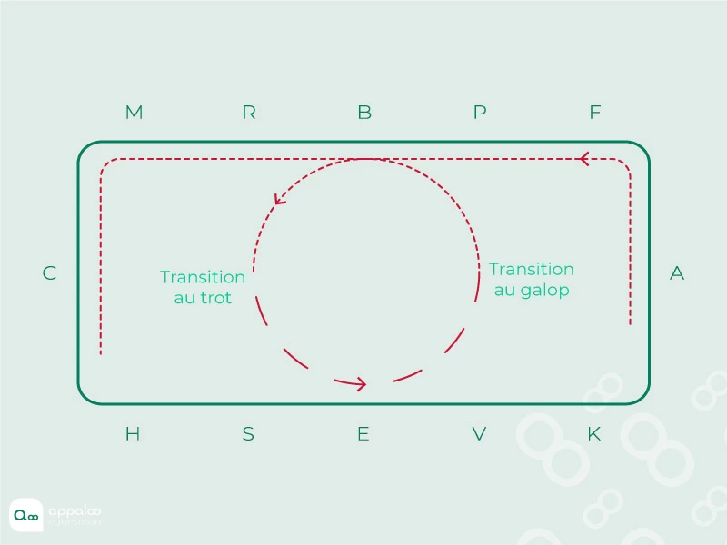 Transition-sur-le-cercle.jpg