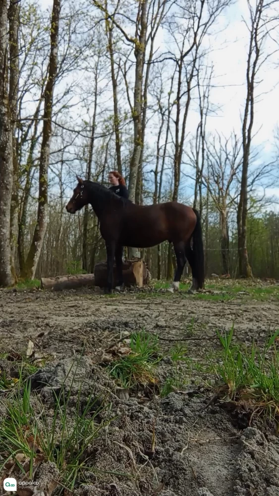 VID_20230421_184738_exported_12849.jpg