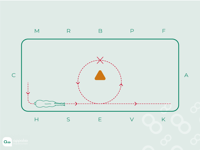 Boucle à Flanc Simple 1 3/4 Pouces - Pour Selle équestre - Mesures 4.71