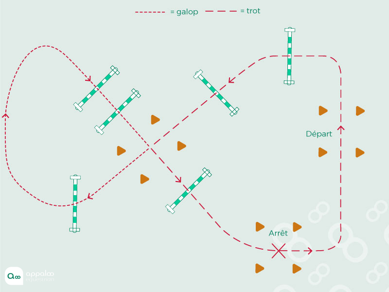 Parcours d’obstacle en huit - Exercice de saut d'obstacle | Séance d