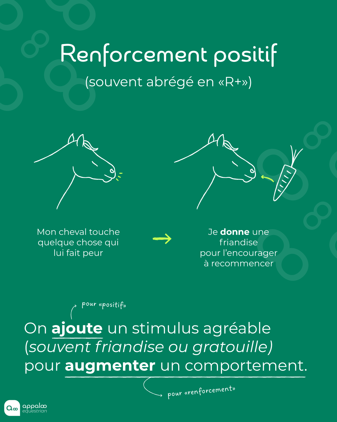Schéma du renforcement positif : le cheval touche un objet qui lui fait peur, on lui donne une friandise