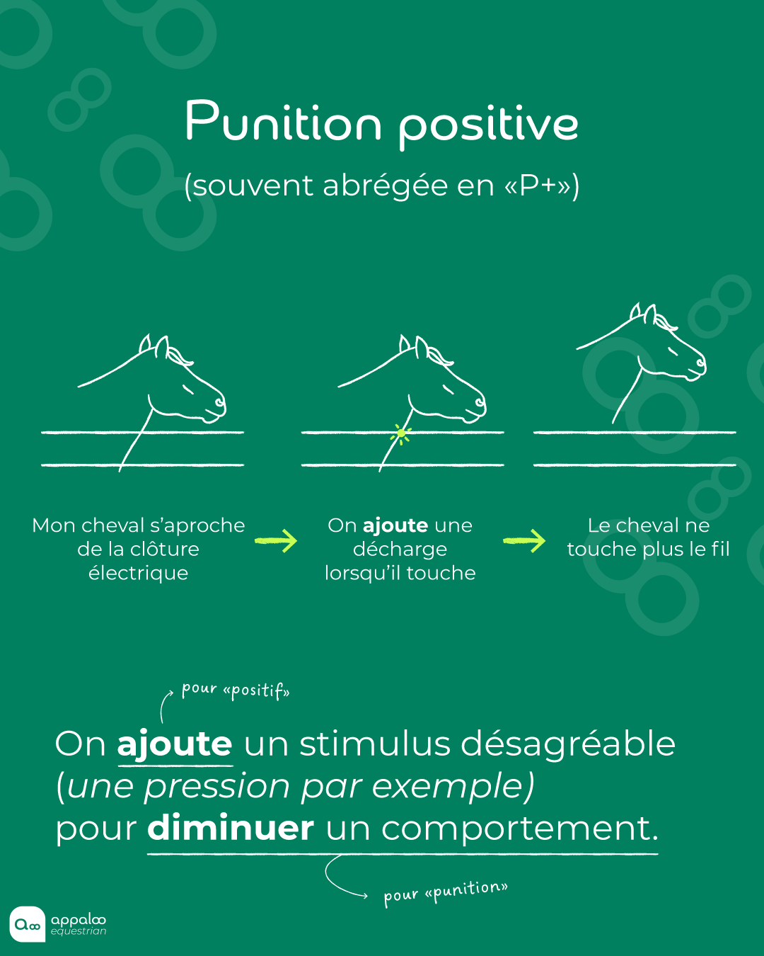 Schéma punition positive (décharge de la clôture électrique) chez le cheval
