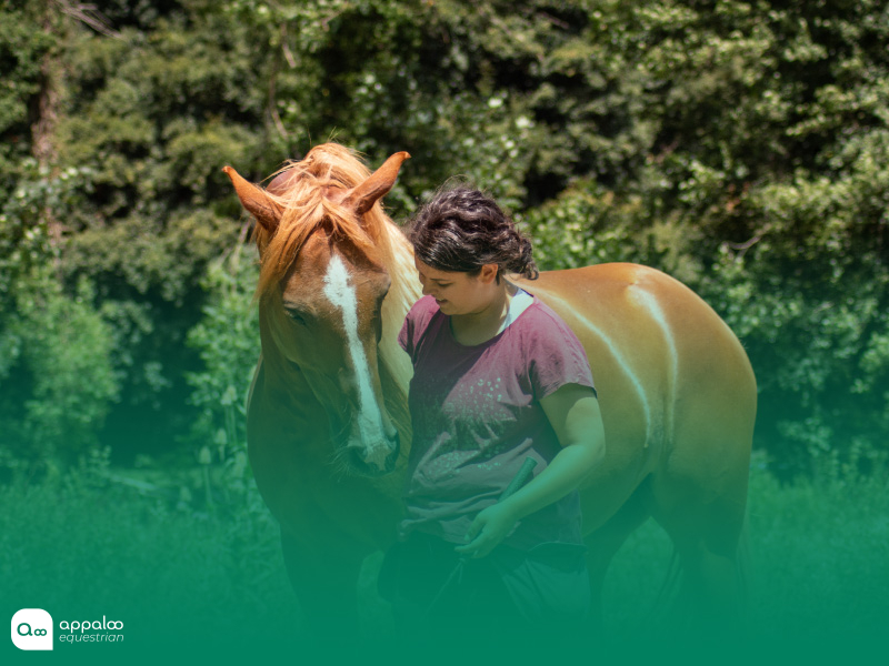 R+ en équitation : renforcement positif, négatif et punitions expliqués simplement