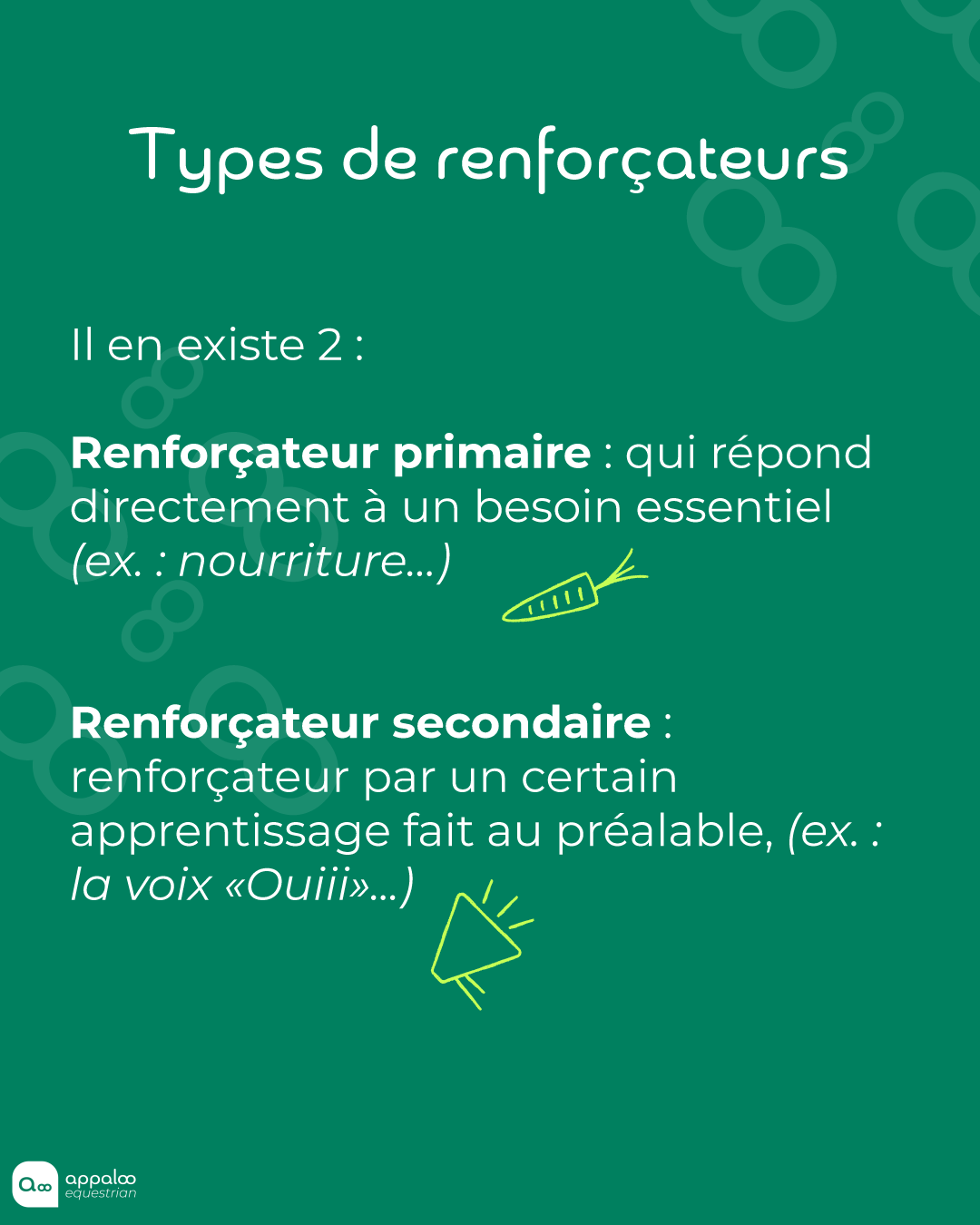 Renforçateur primaire (nourriture) et renforçateur secondaire (la voix) chez le cheval